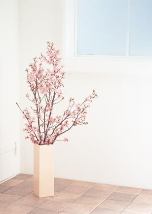 【2026年最新版】広島で選ぶ理想の家具！暮らしを豊かにするおすすめポイントをご紹介