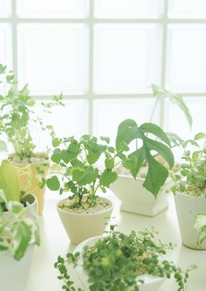 神戸HDCショールーム｜タカラスタンダードの最新水まわり展示と特徴・アクセス情報